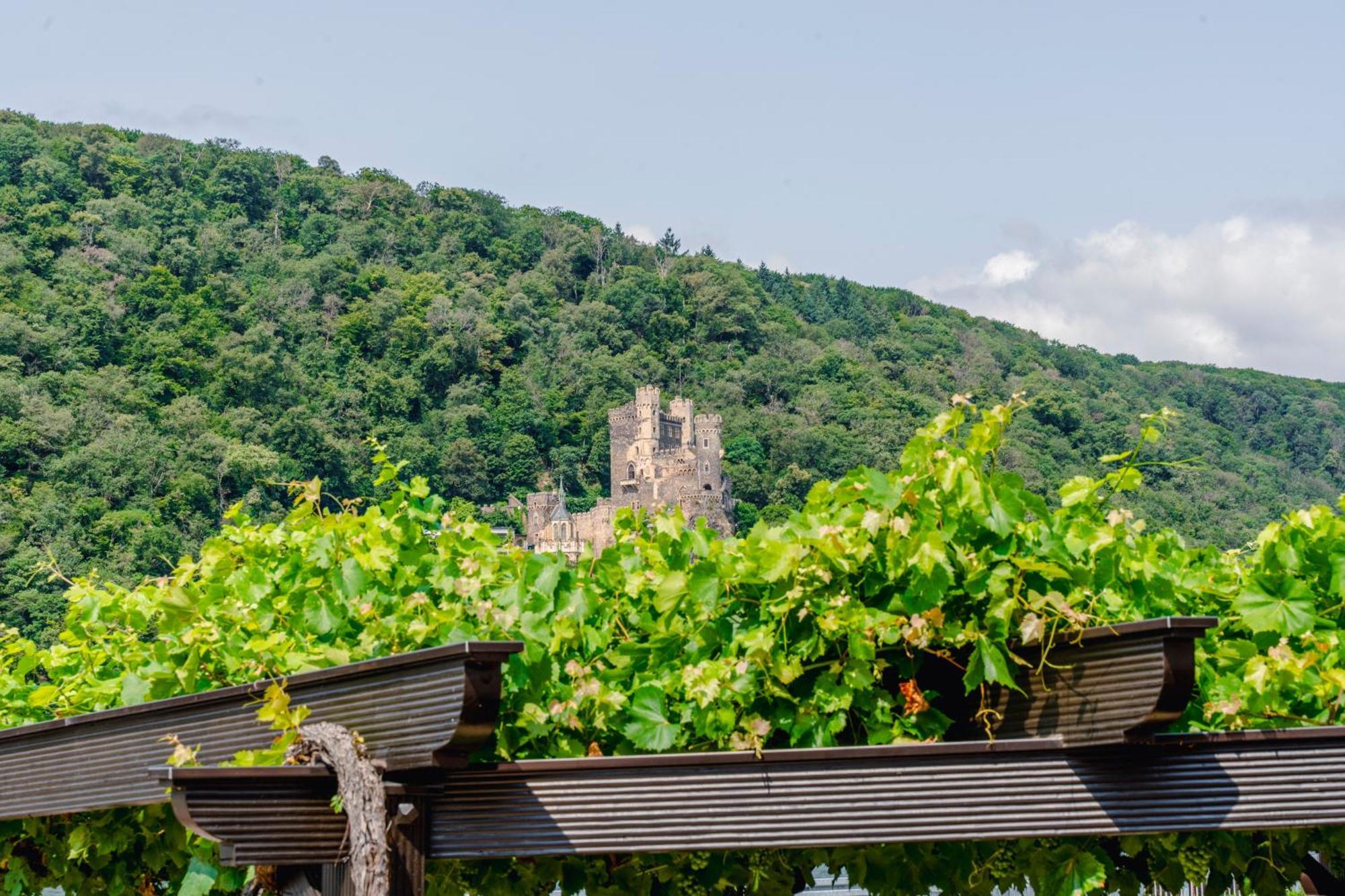 Hotel Unter Den Linden Ruedesheim am Rhein Luaran gambar